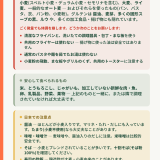 Japan Gluten-Free Travel Kit — Card + City Guides + Shopping Guide
