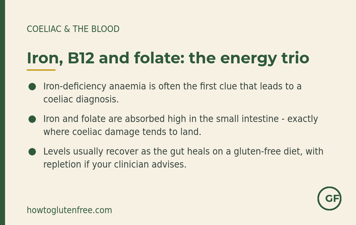 Iron, B12 and folate in coeliac disease: iron-deficiency anaemia is often the first clue, these nutrients are absorbed high in the gut where coeliac damage lands, and levels usually recover on a gluten-free diet
